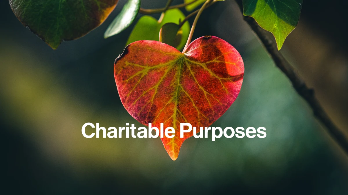 How to Write Charitable Objects That Pass - Evolve Catalyst